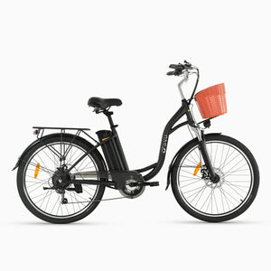 DYU C6 26 Zoll City Elektrofahrrad