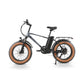 CMACEWHEEL T20 Fat Tire Bike