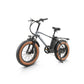 CMACEWHEEL T20 Fat Tire Bike