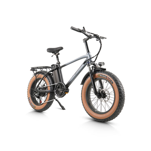 CMACEWHEEL T20 Fat Tire Bike