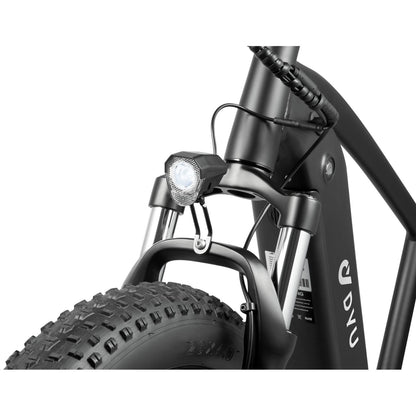 DYU King 750 Fat Tire Bike
