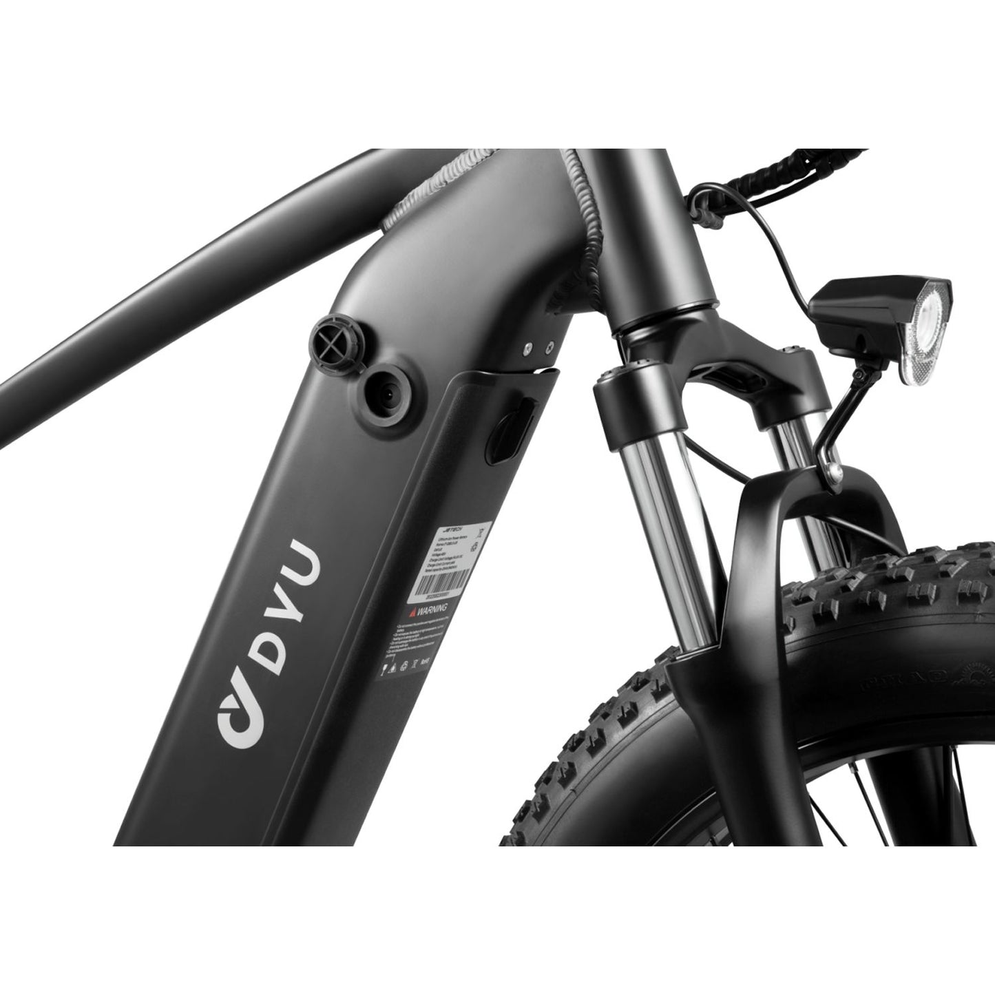 DYU King 750 Fat Tire Bike