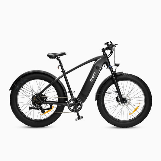 DYU King 750 Fat Tire Bike