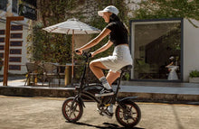 DYU D3F 14 Inch Mini Folding Electric Bike