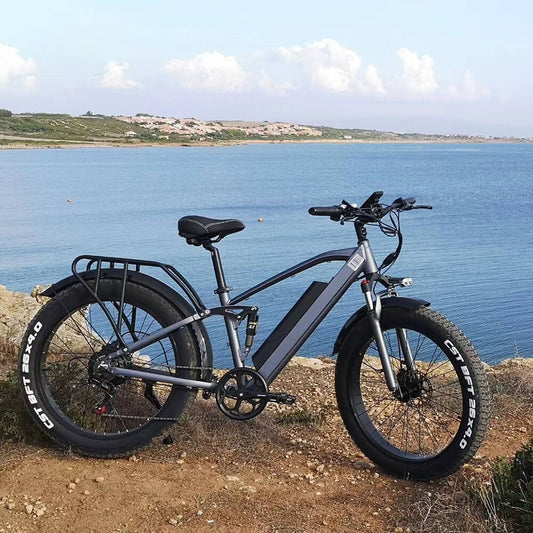 CMACEWHEEL TP26 City Bike