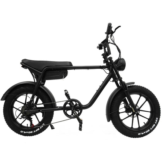 TODIMART K20 750W 48V E-Bike 20-Inch