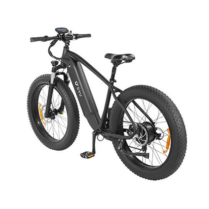 DYU King 750 Fat Tire Bike