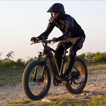 DYU King 750 Fat Tire Bike